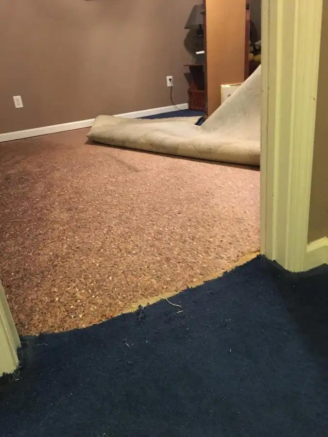 Carpet pad removal revealing water damage during Water Mitigation Services in Tillamook